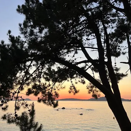 公寓 Samil Playa 比戈